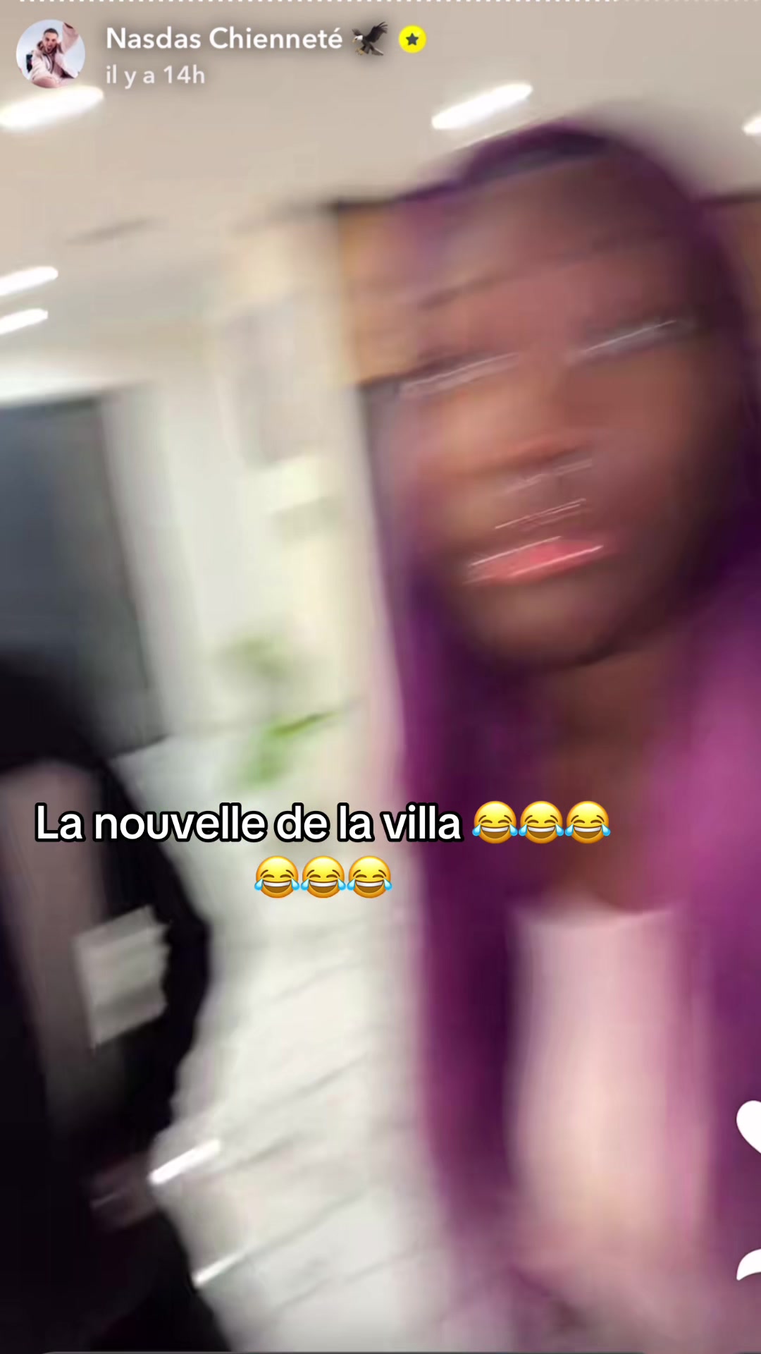 @Lachienneté rediff 🦅📽️