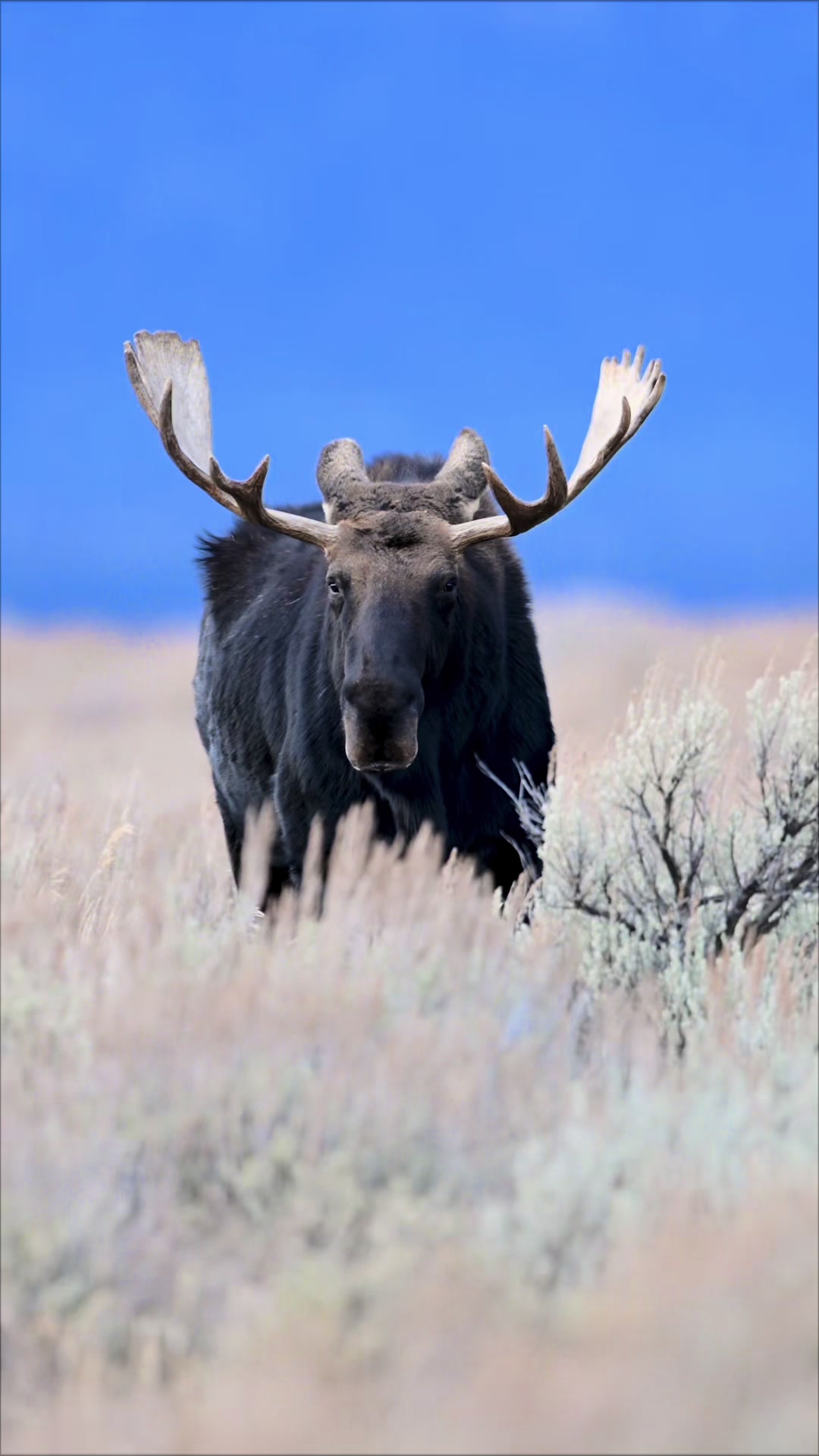 @Grand Teton Photo