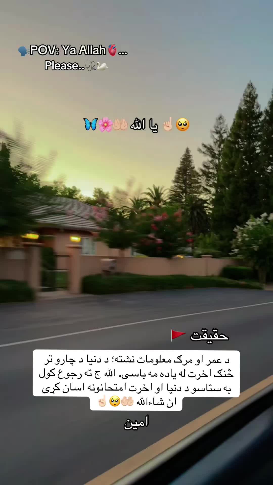 @👑🩺~Jannat~🤍🦋🇺🇸