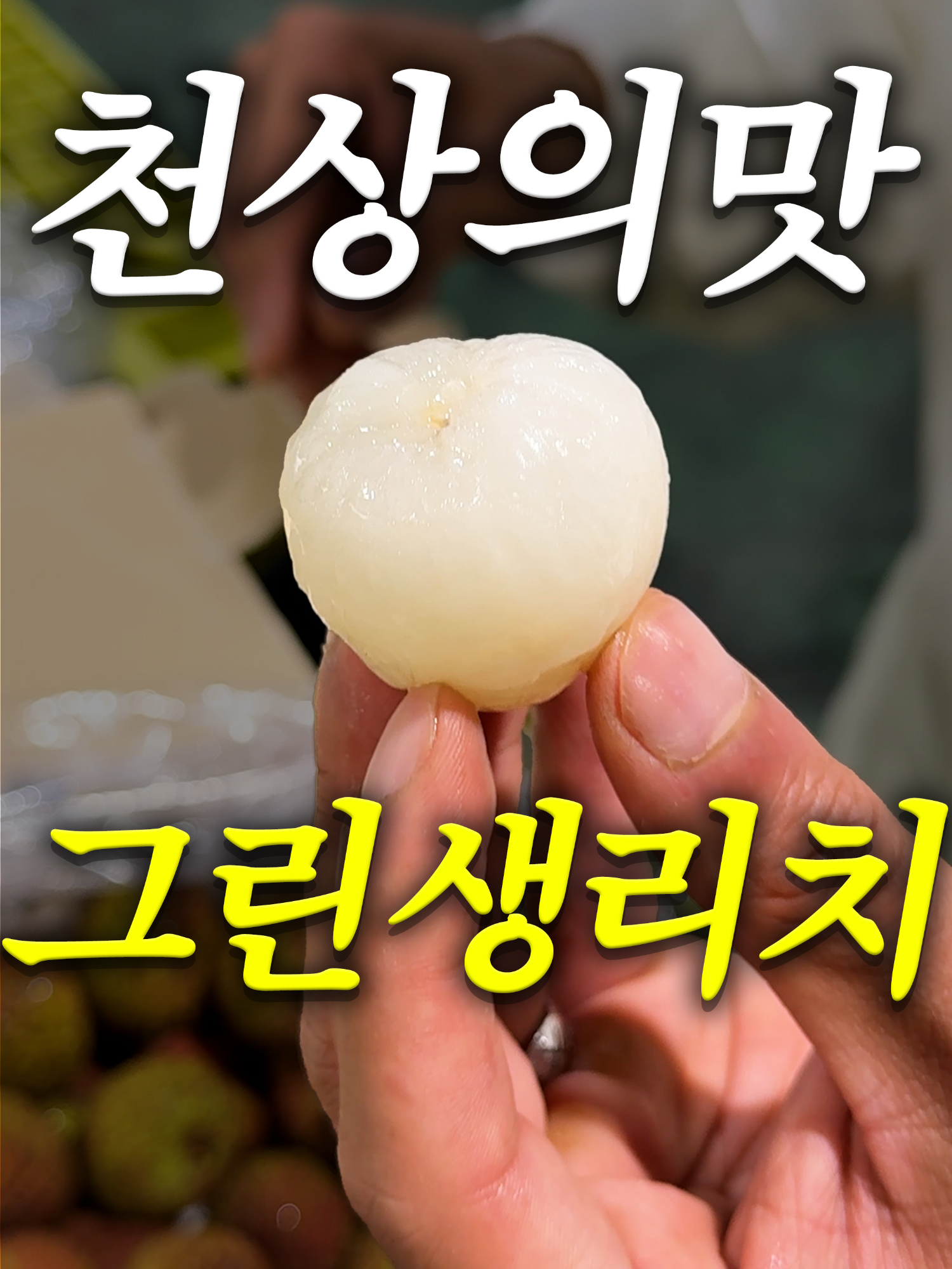 @해운대송사장