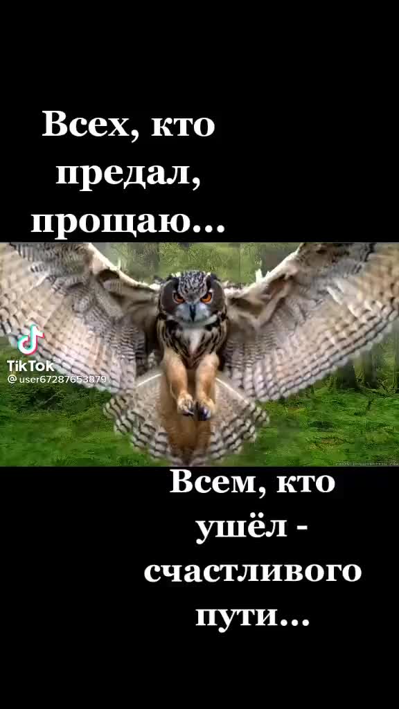 @@ Сарыкбай 💯