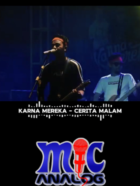 @mic analog