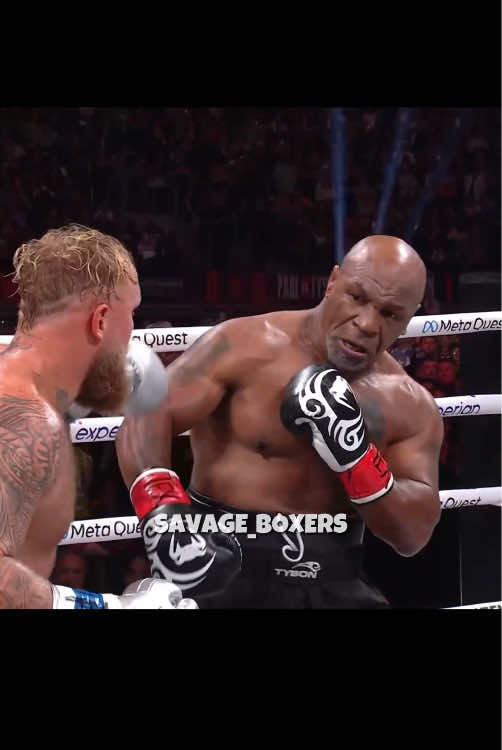 @Savage Boxers