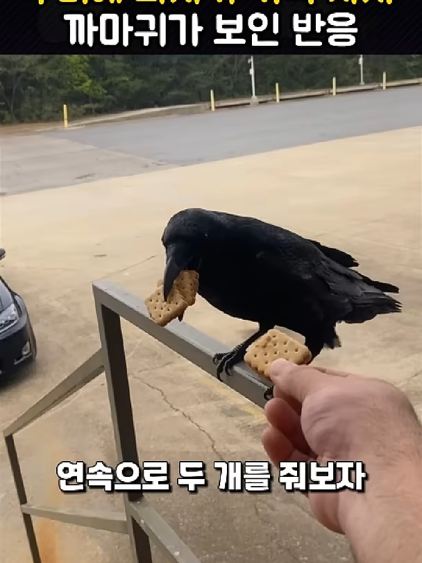 @개블리