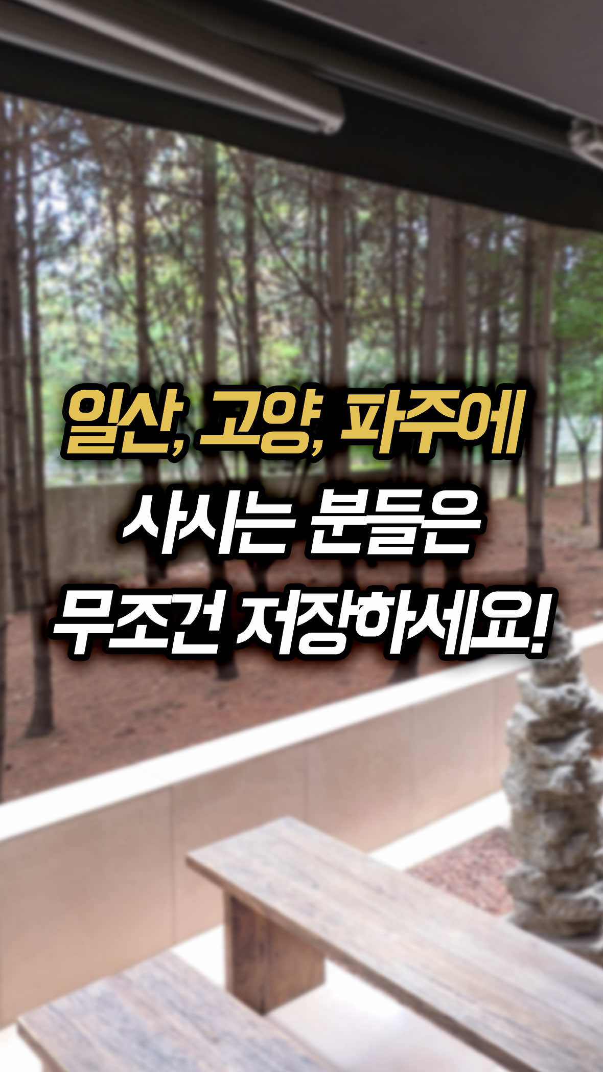 @일산갈고양