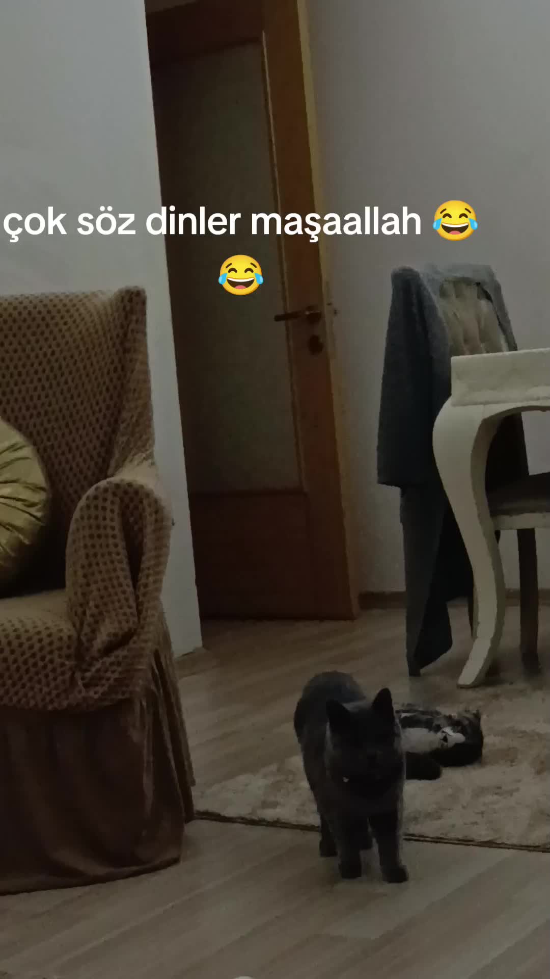 @Elif Enise Alançay