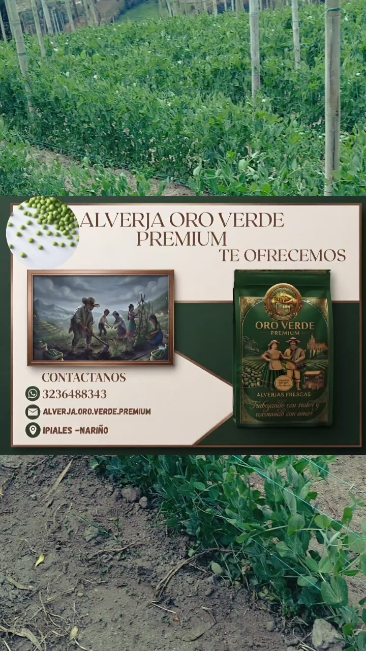 @el.corrido.del.despecho