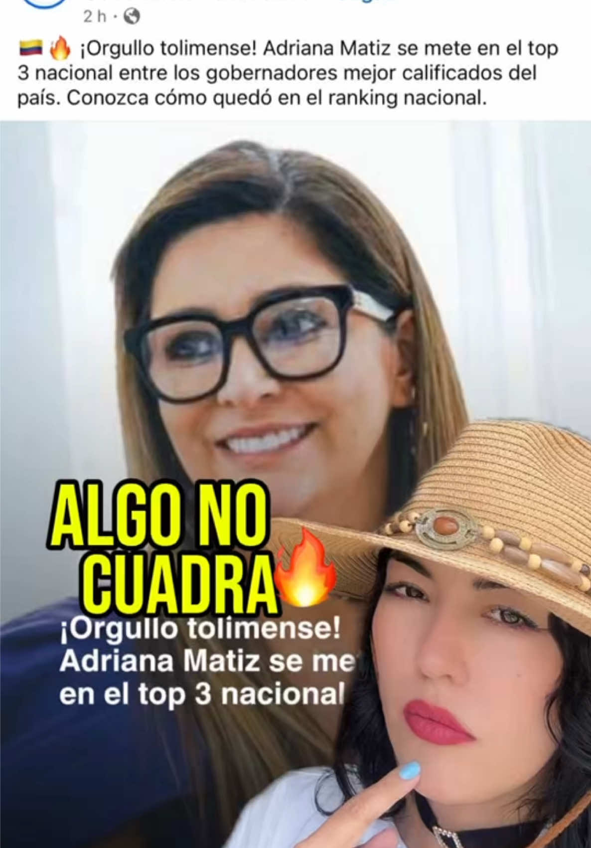 @luisabohorquezr