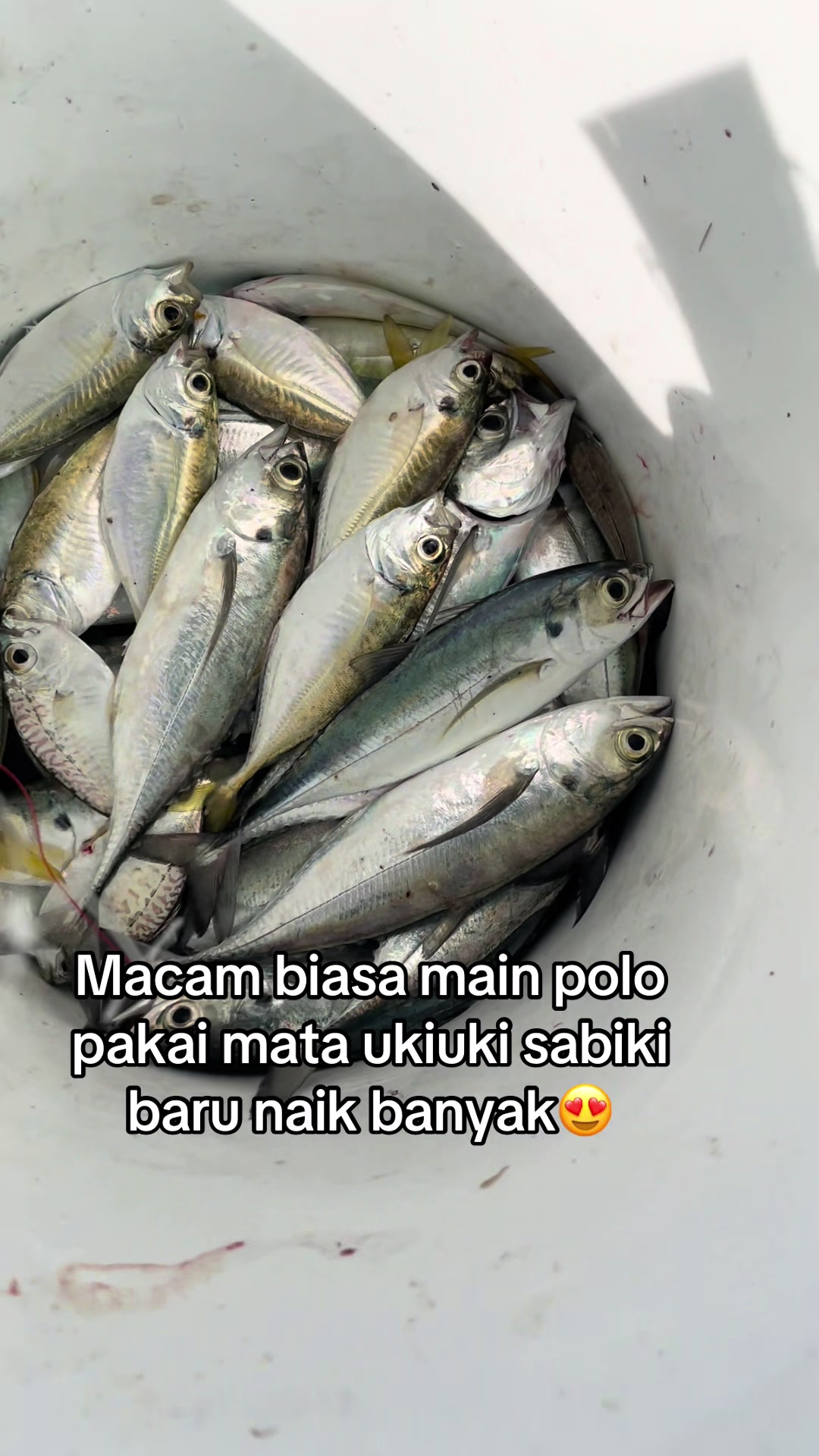 @baby siska