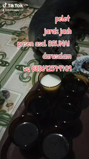 @BAH MAUNG