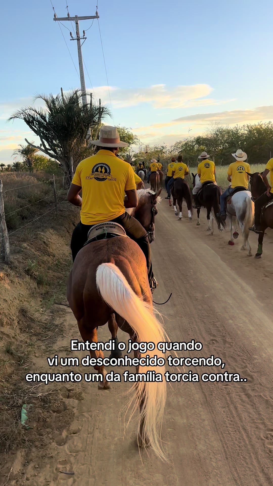 @Mário Gomes
