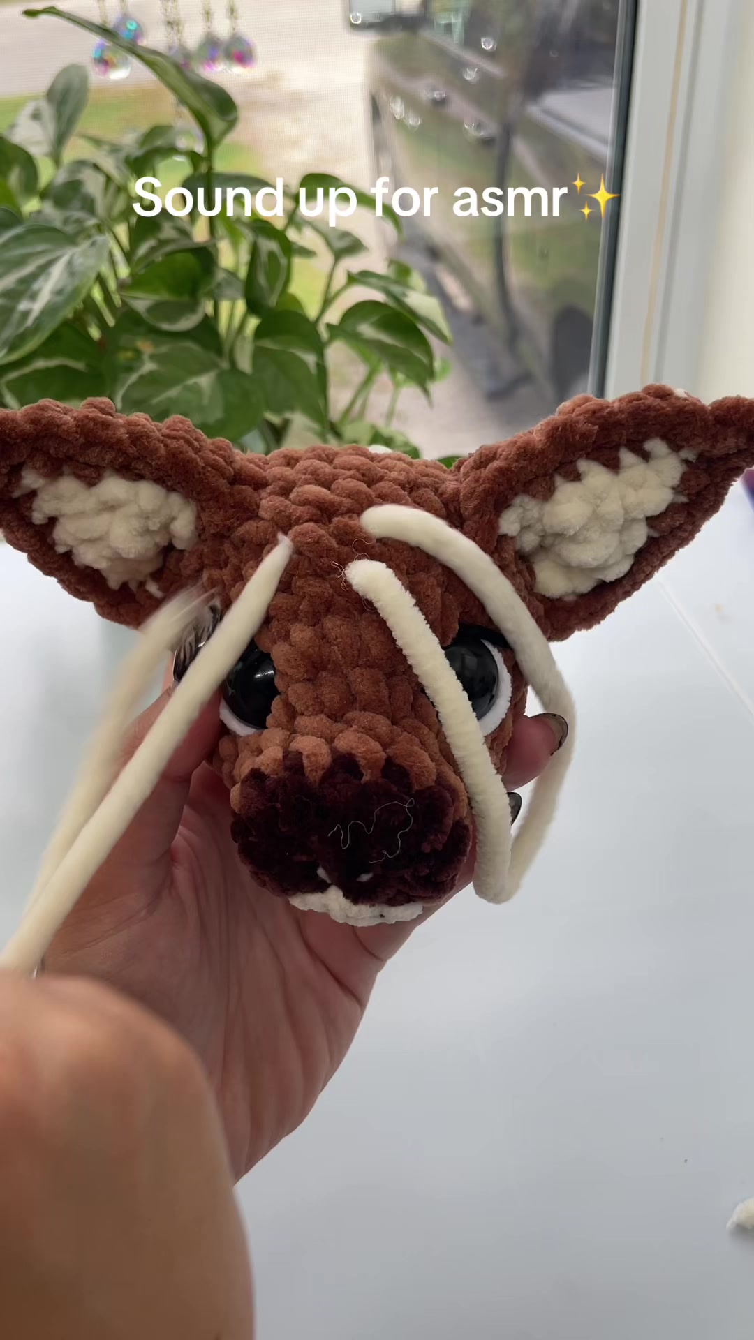 @Zero Gravity Crochet✨