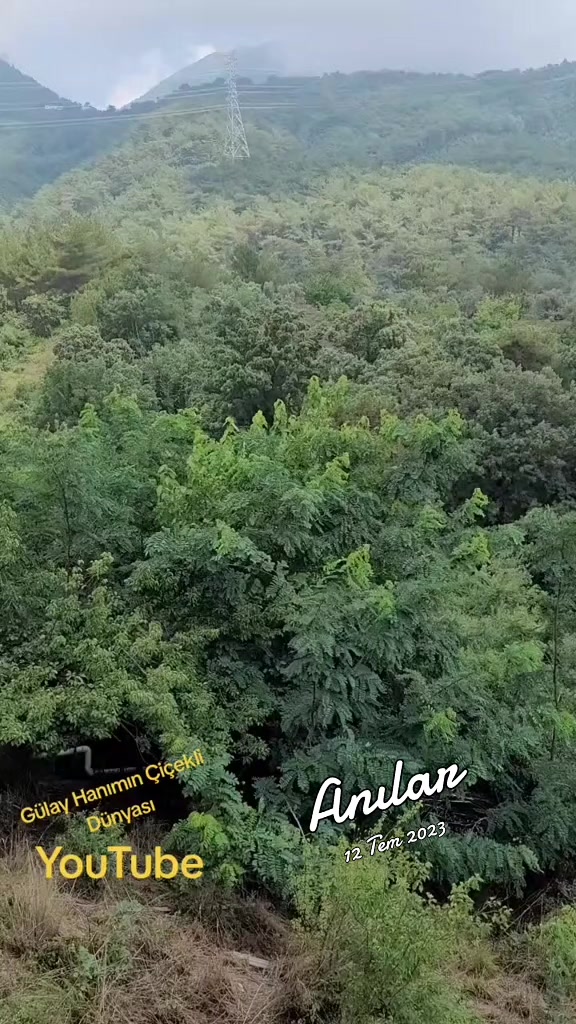 @Gülay Hanımın Çiçekli Dünyası