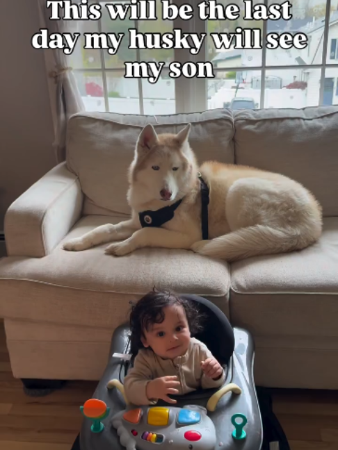 @freezinghusky