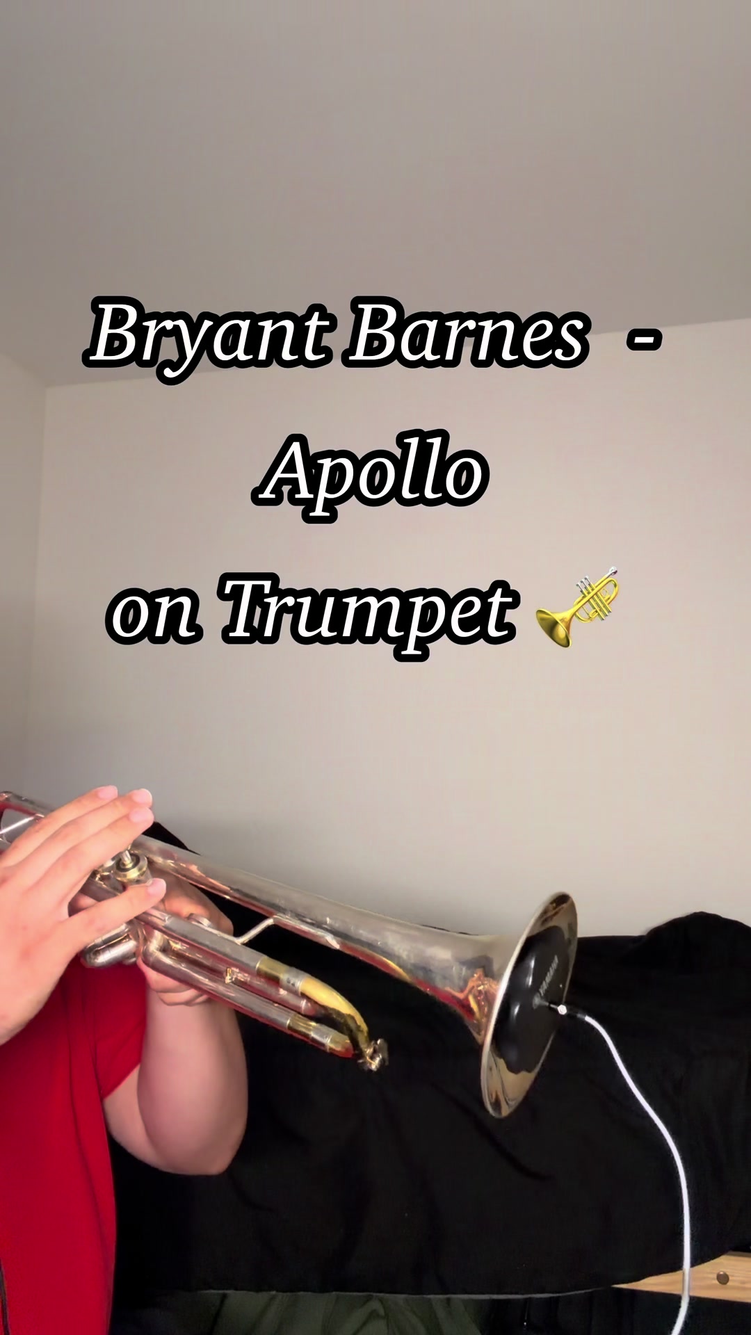 @mexicantrumpetboy
