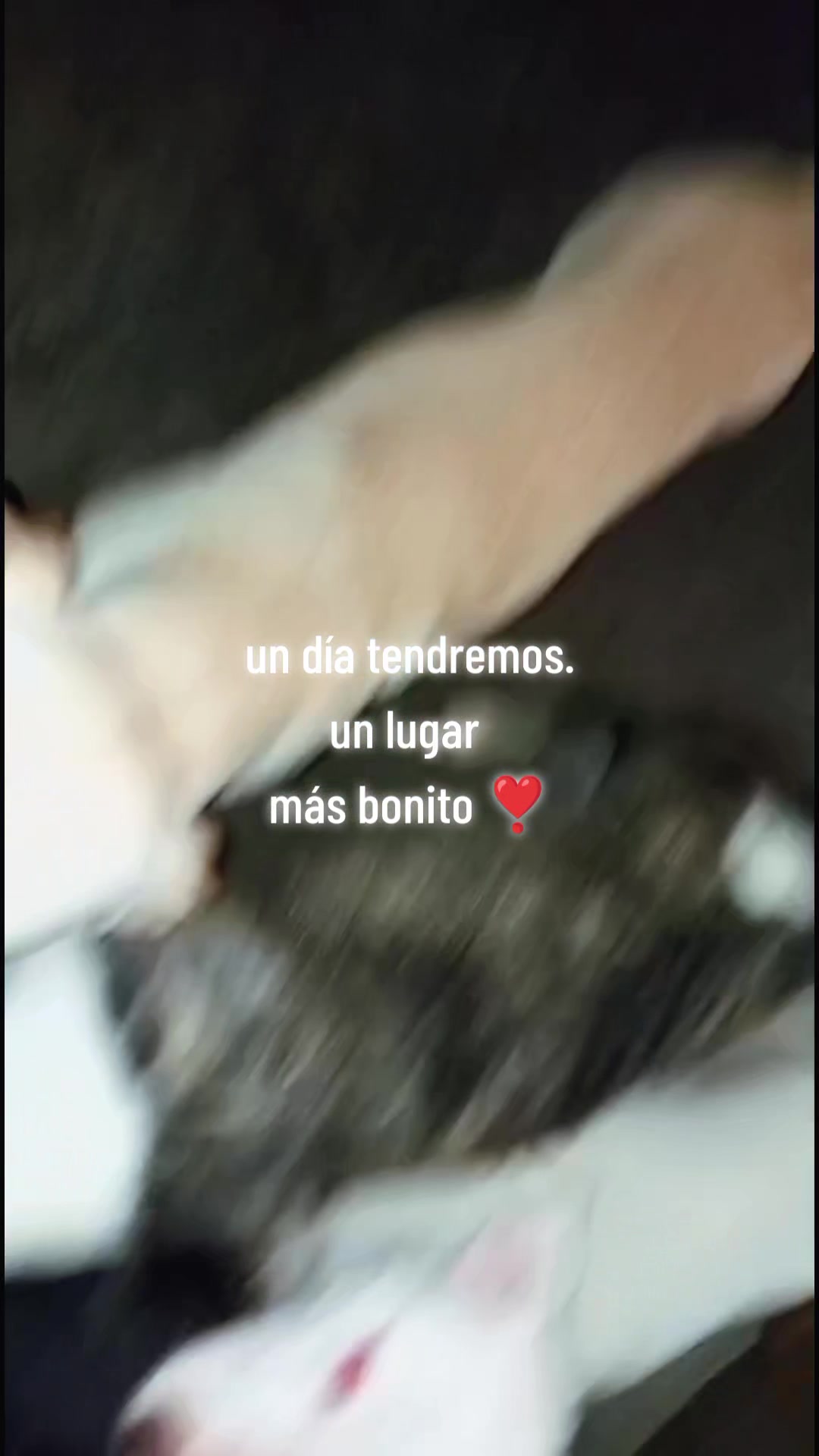 @HUELLITASDETOBBY