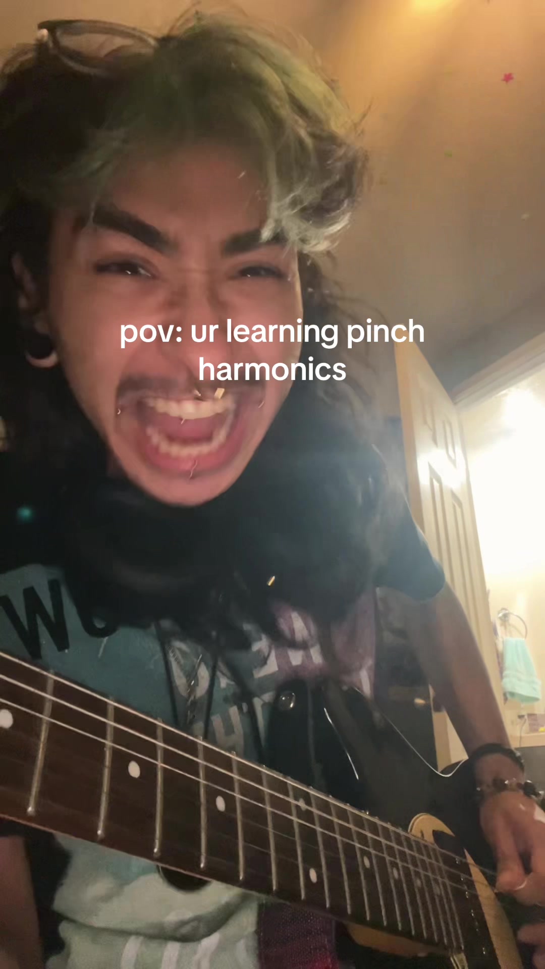 @anselll
