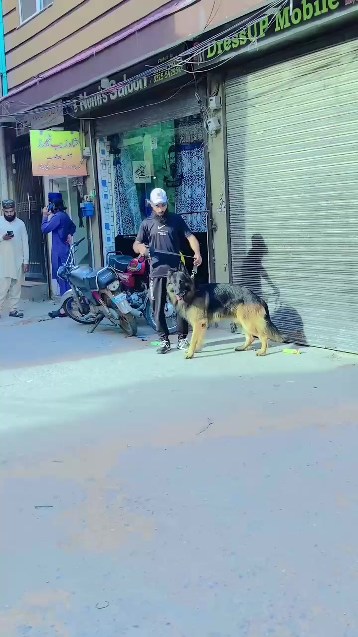 @Arshad skater sulemani7