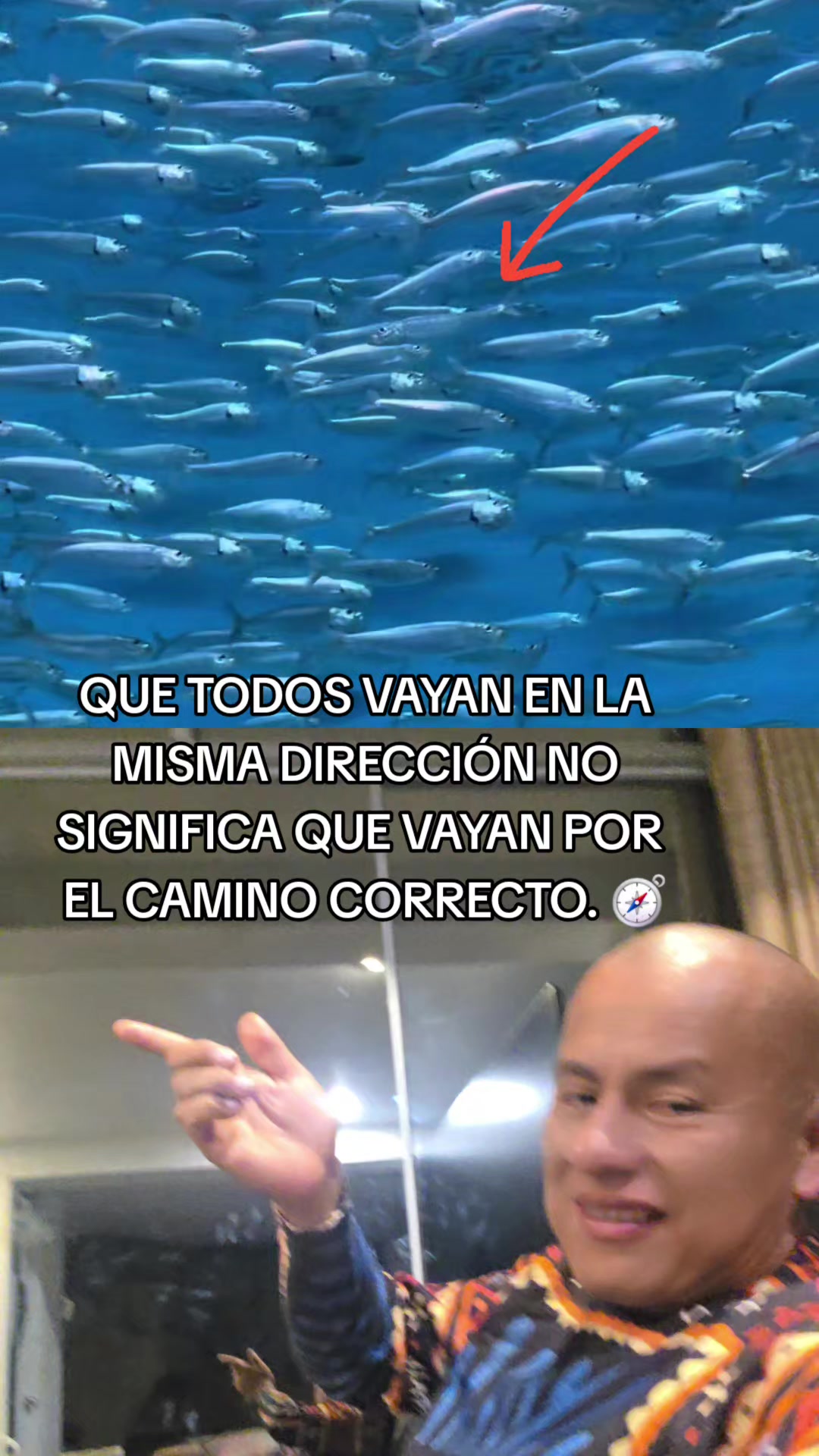 @Mayahuasca❤️