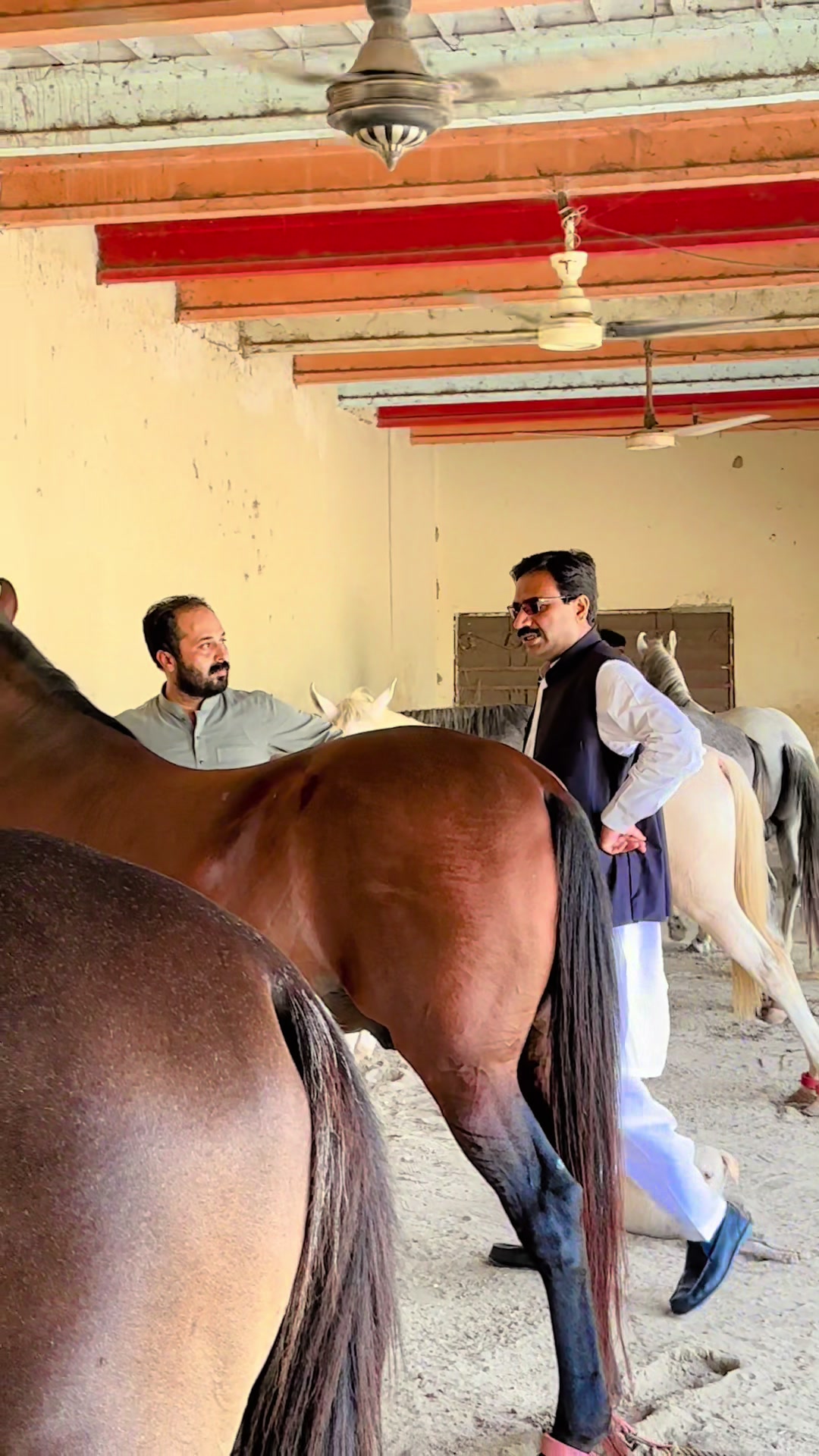 @Waqas Maan