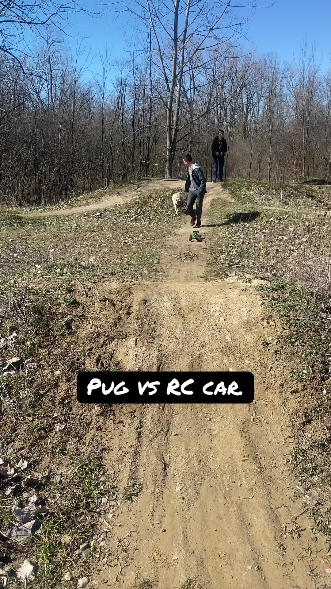 @pugloversuperhero