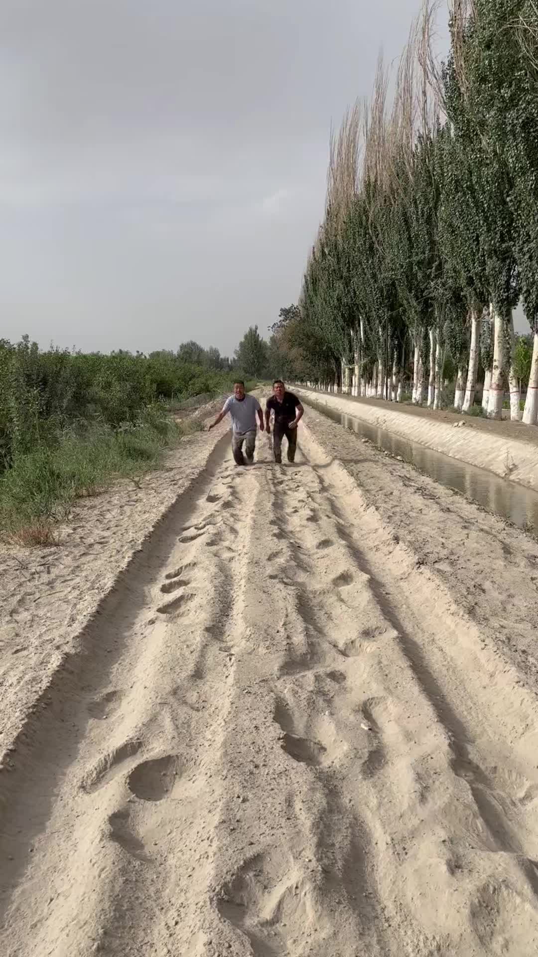 @疆果果新疆特产