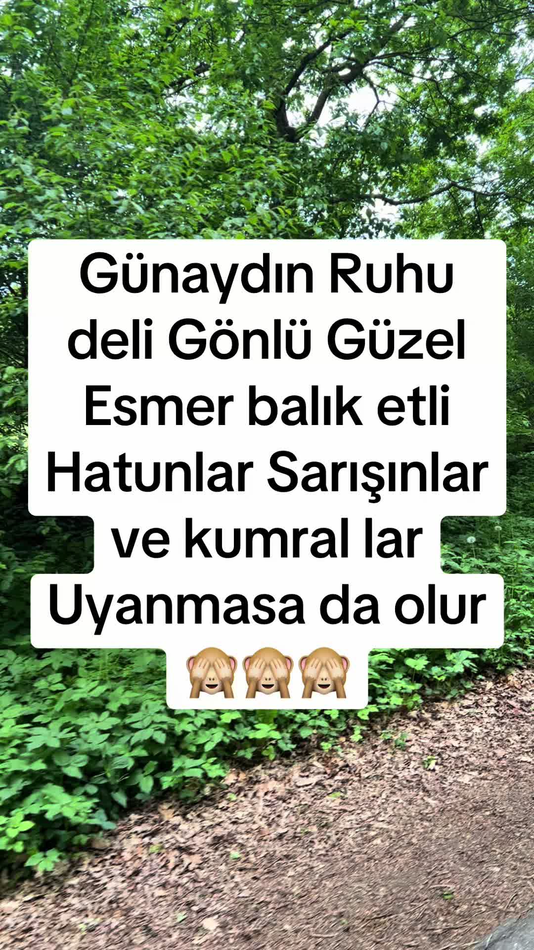 @✌️✌️✌️✌️🇩🇪🇩🇪🇹🇷🇹🇷