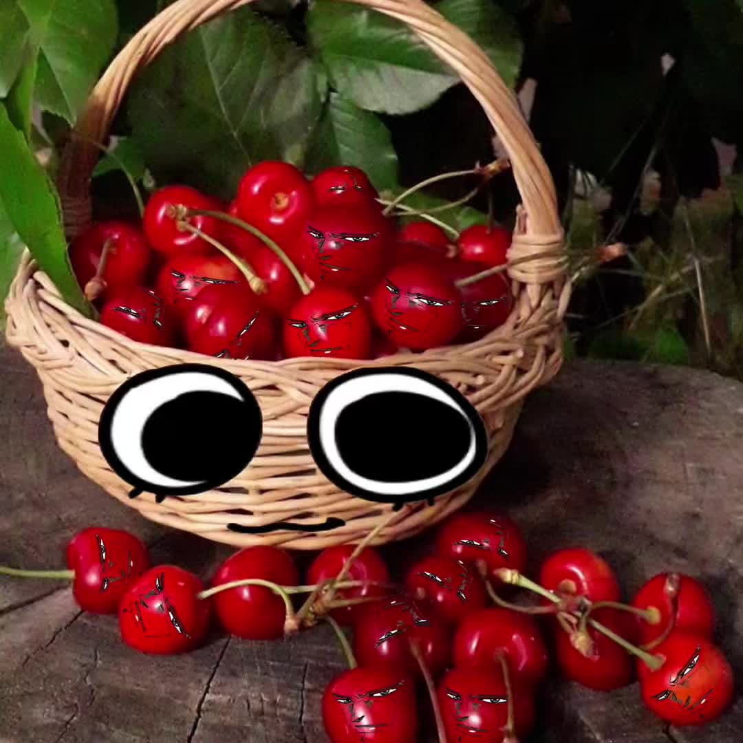 @๐ zim / nori