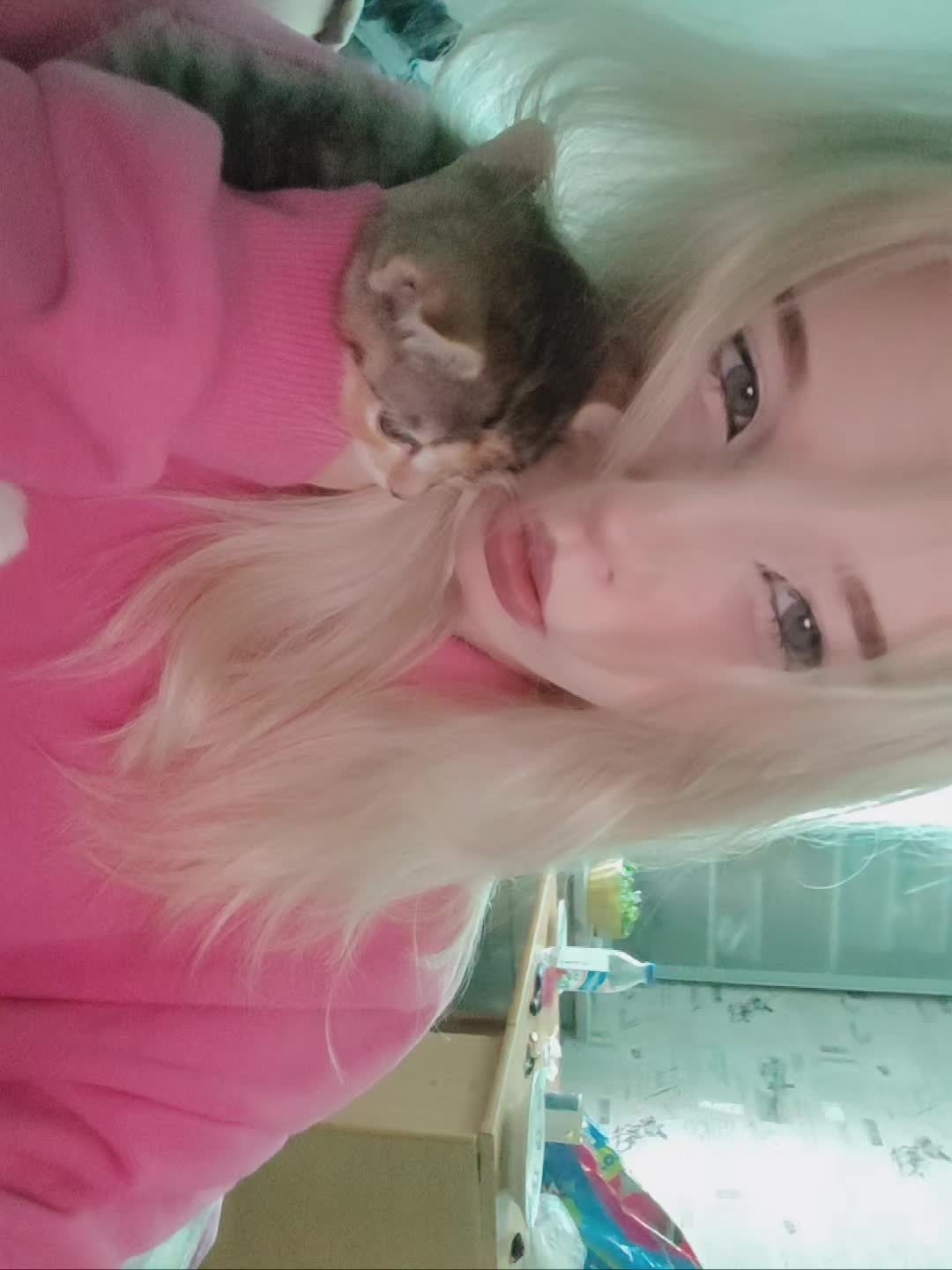 @мета