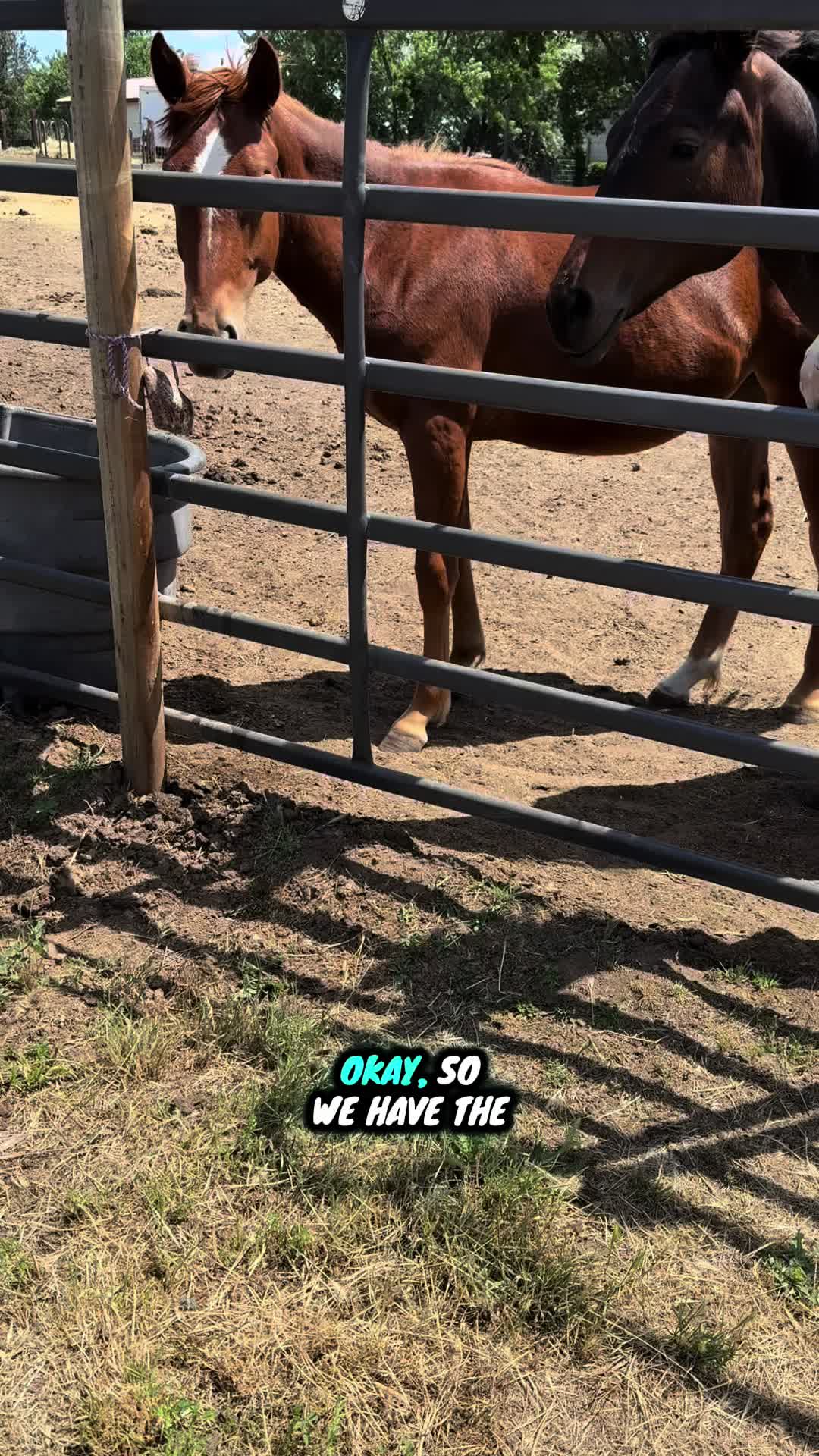 @Cowgirl Tuff Colt Training ❤️