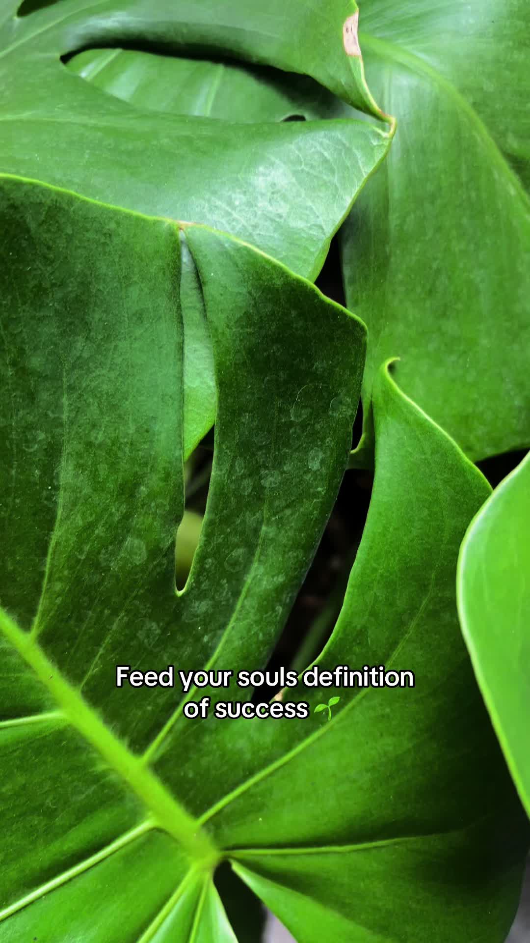 @ConsciousCrafting