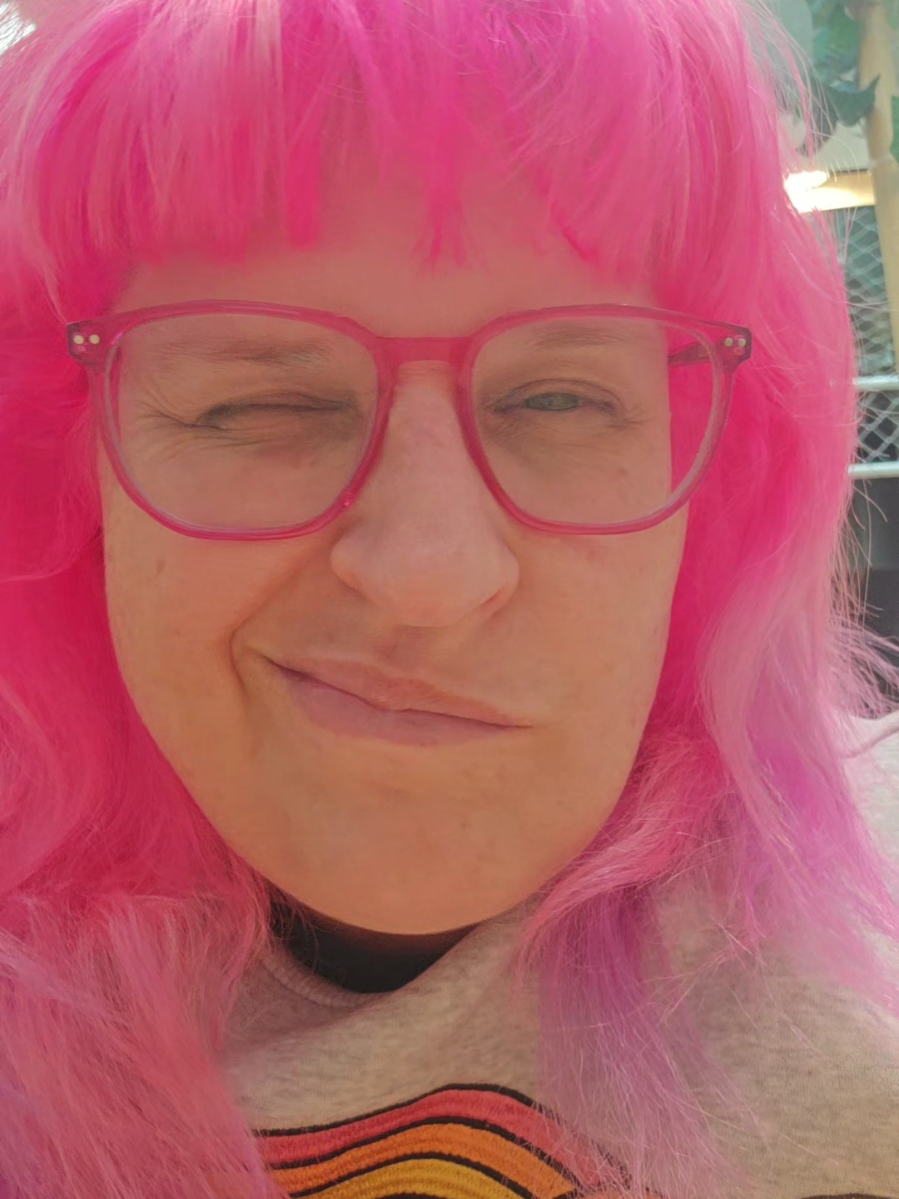 @🩷 The Pink Haired Lady 🩷