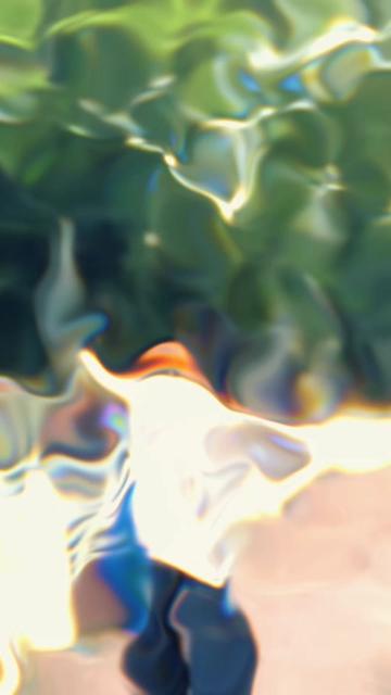@🕸️FOYSAL🕸️