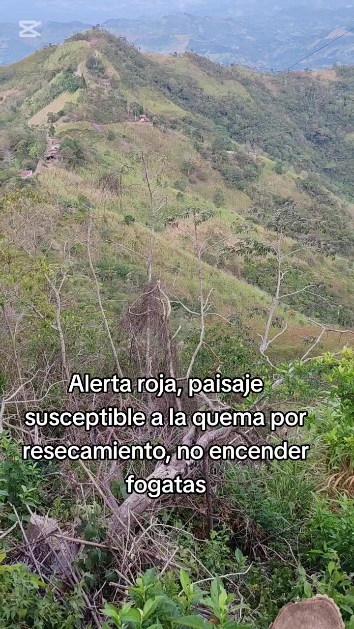 @luisomarfuentesve