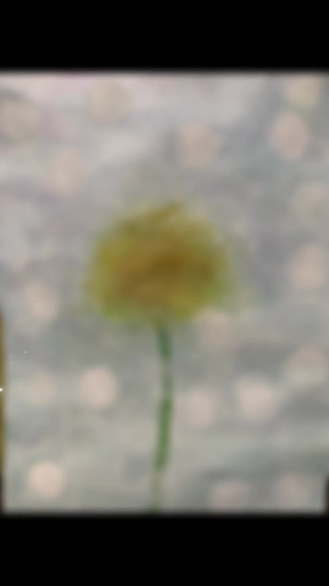 @suisai0310