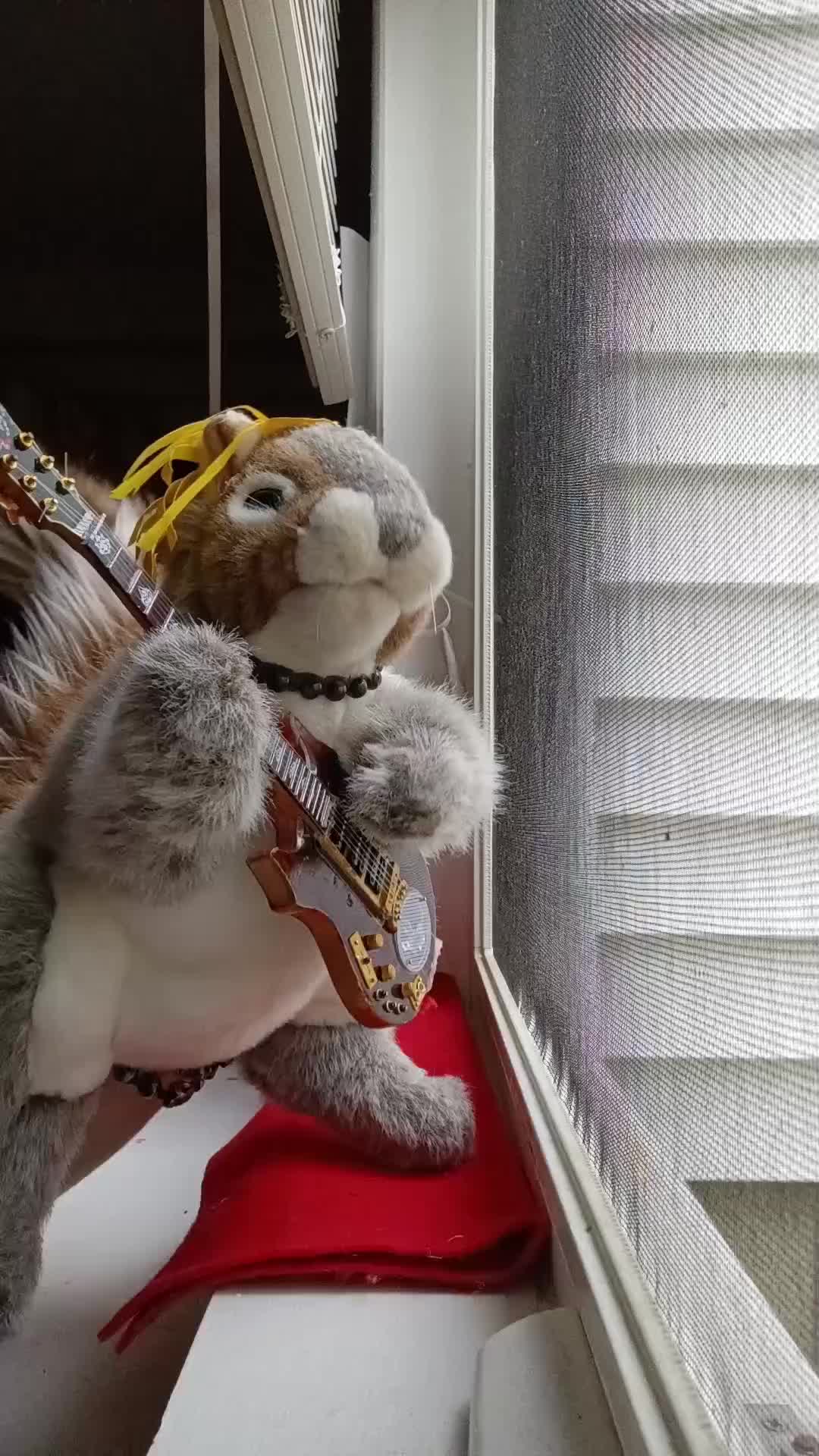 @Charles The Squirrel