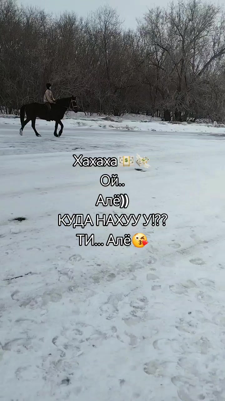 @꧁𓃗КОННИЦА𓃗꧂