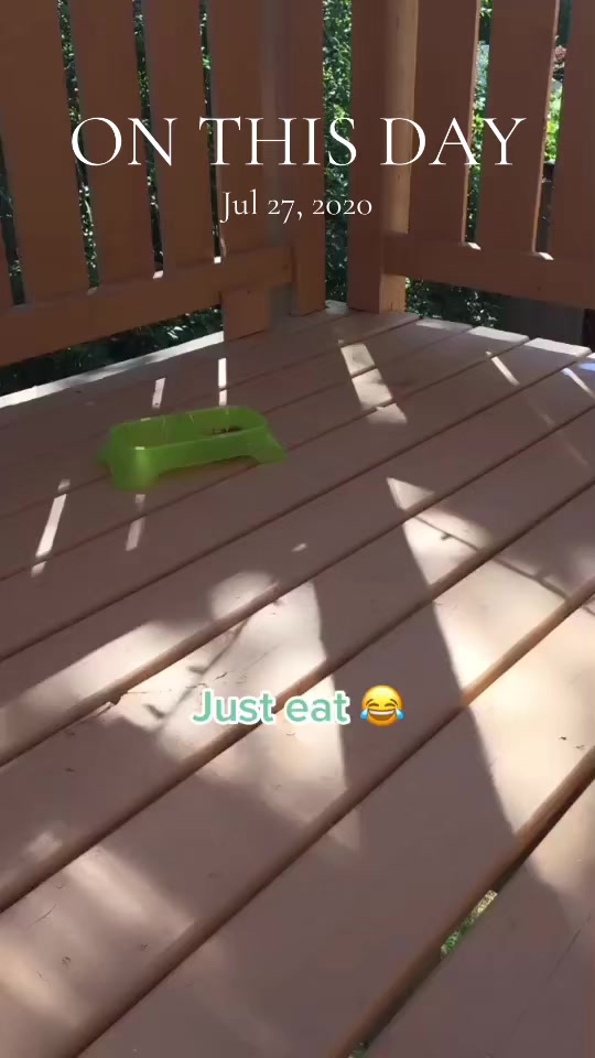 @Random_content_queen