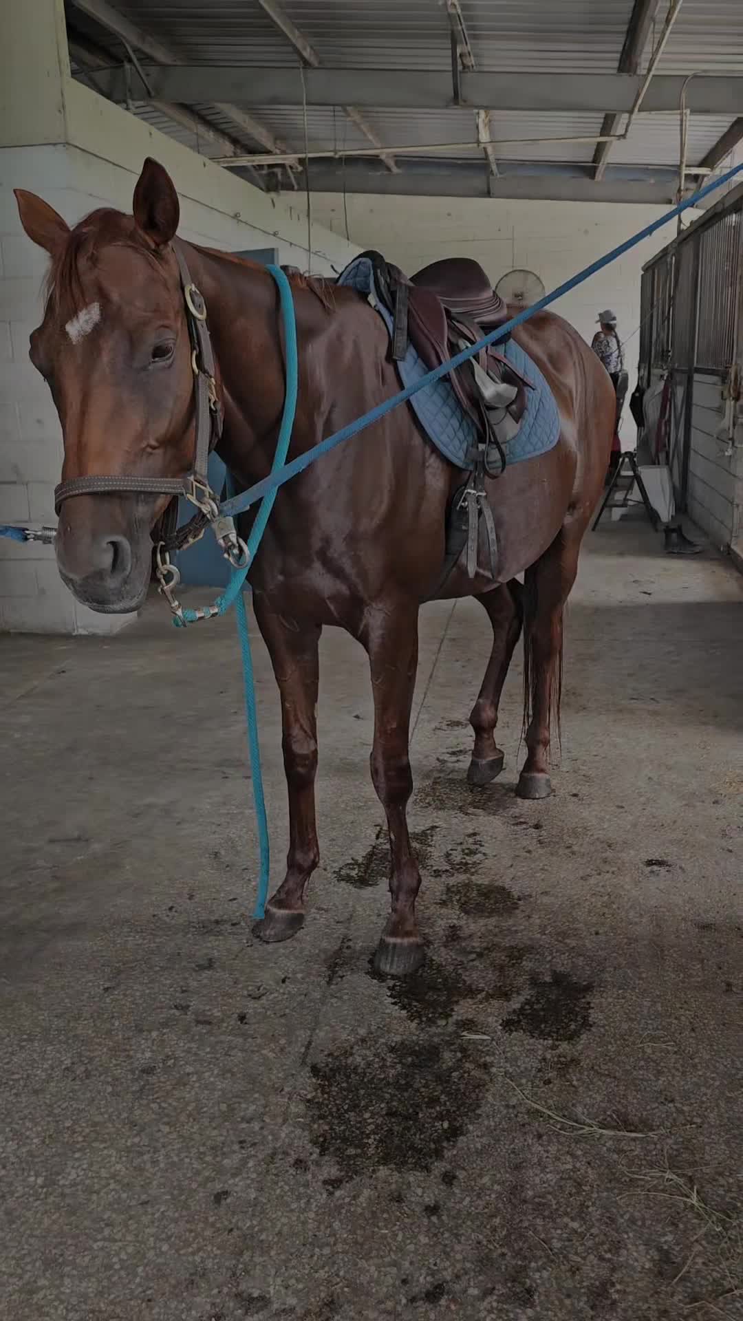 @Rachelrides