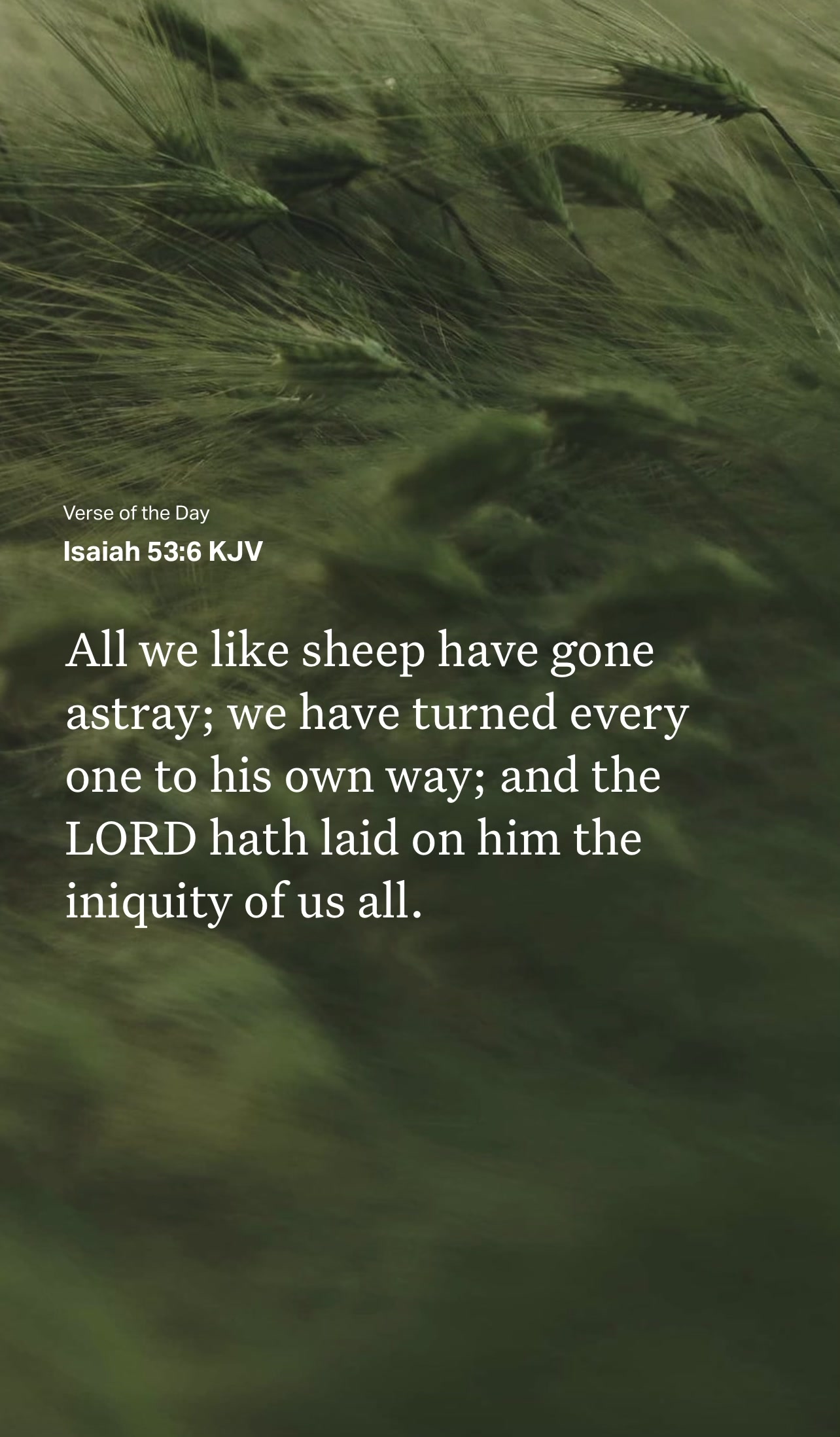 @VoiceOfScripture