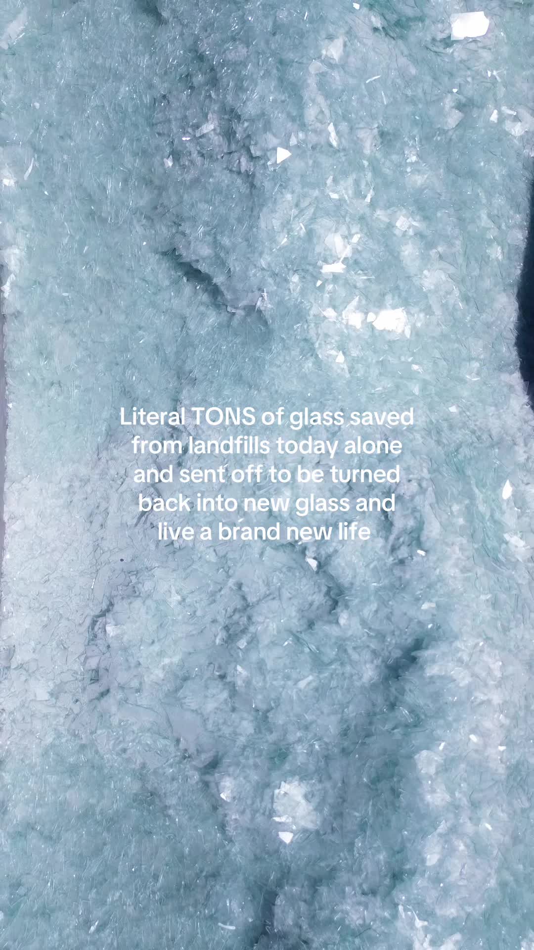 @glassgrrrl