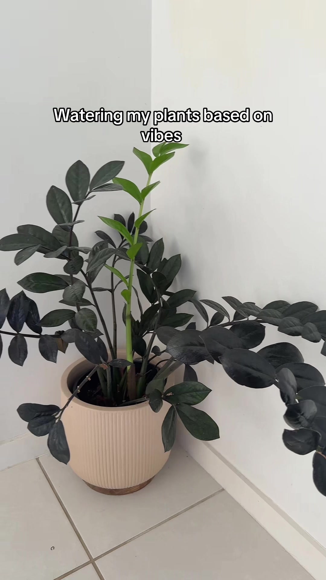 @Tatiana Te Kowhai