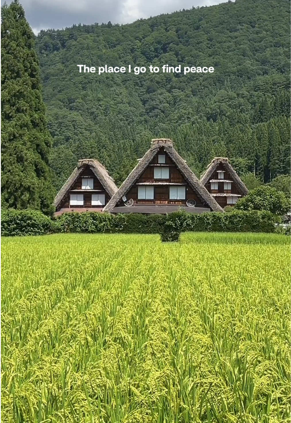 @Japan Yasumi
