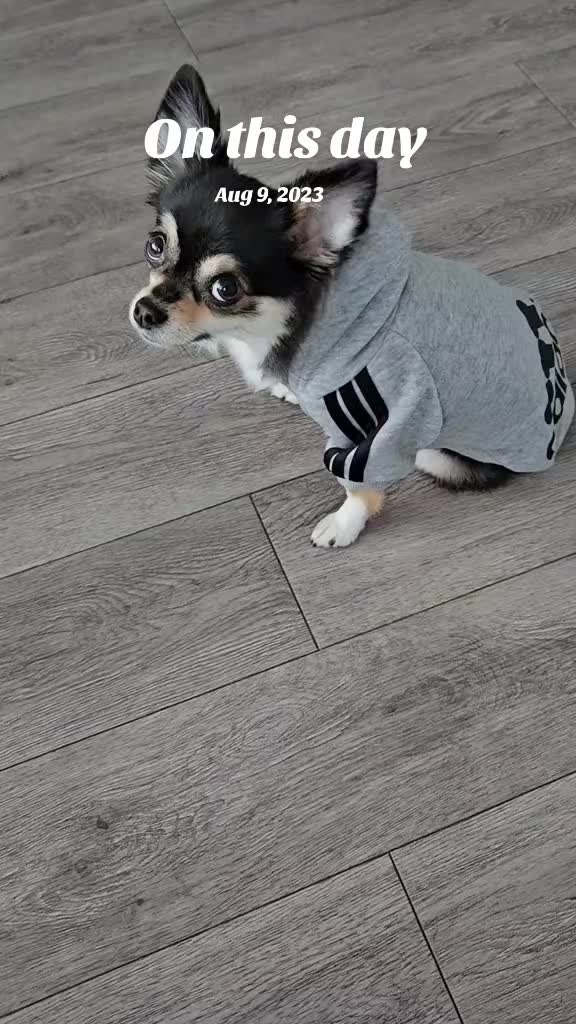 @Pawsha