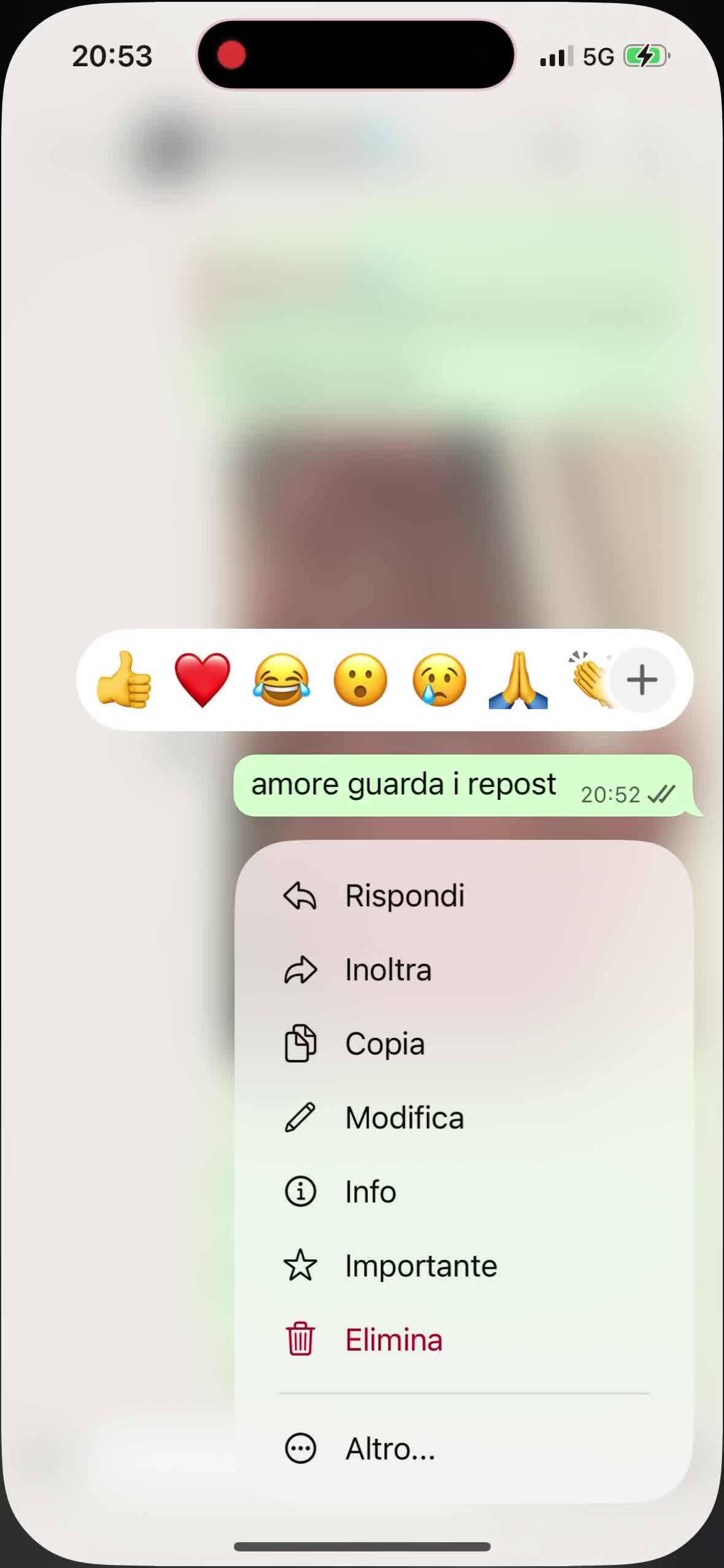 @molteniluna09