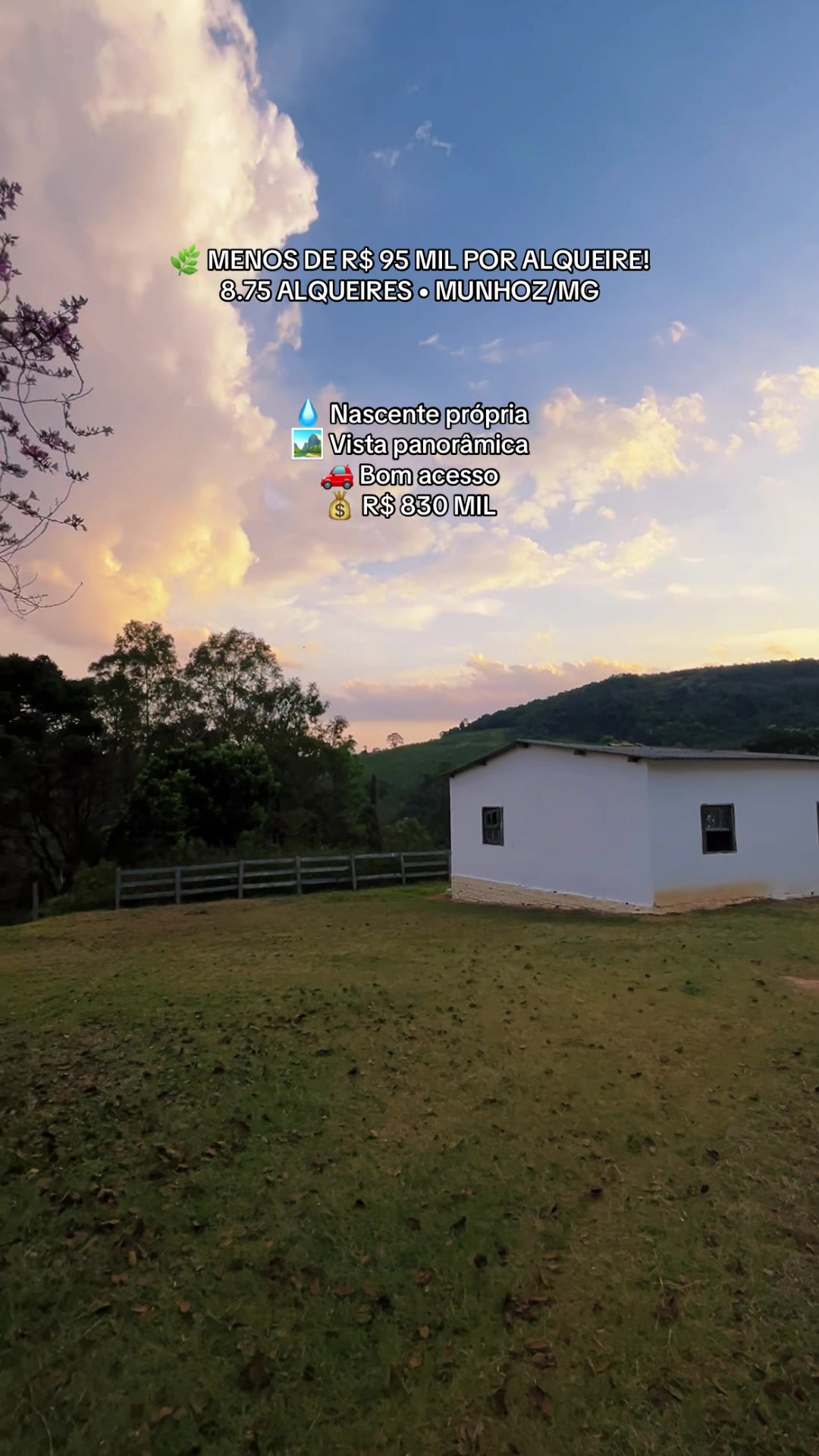 @fernando souza