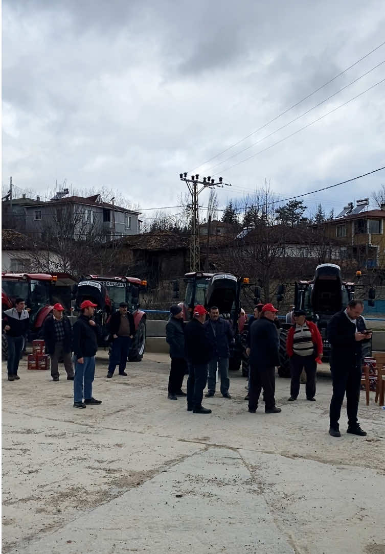 @Selim &Ouml;zeren