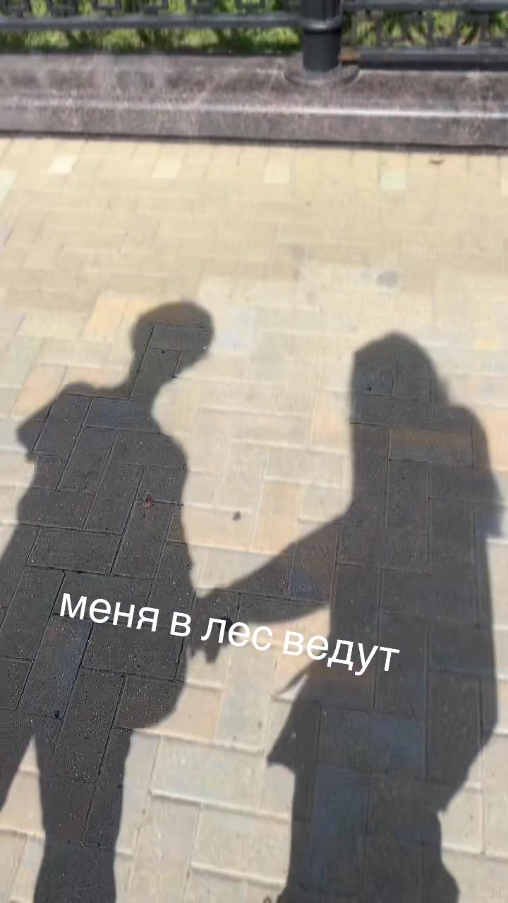 @alikoya