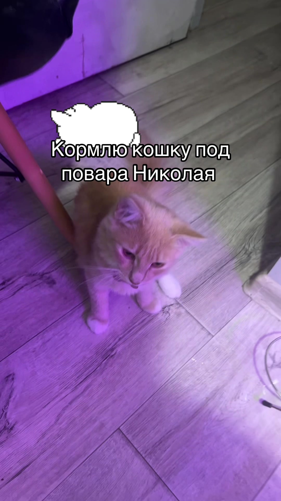 @🌸|| 𝓡𝓪𝓰𝓱𝓪𝓽𝓪||🌾