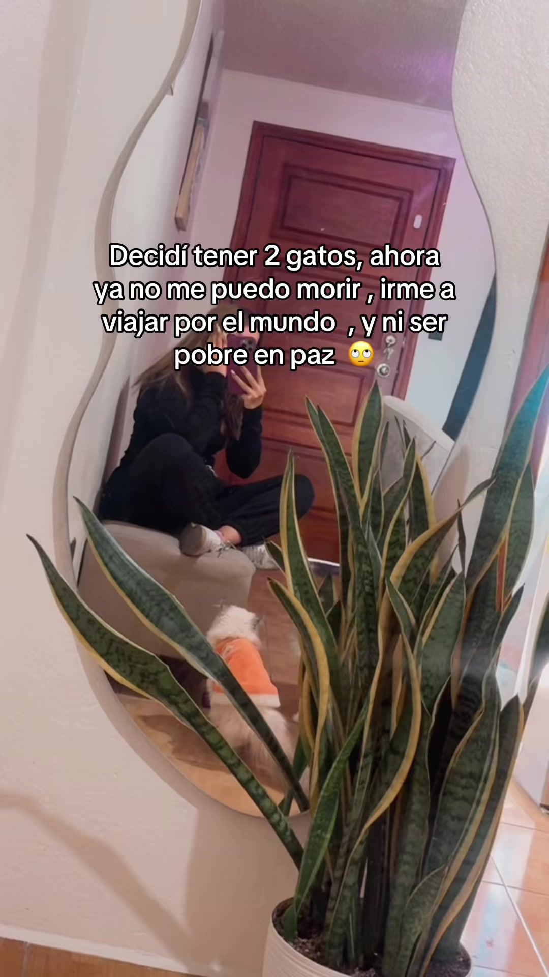 @Gema👑
